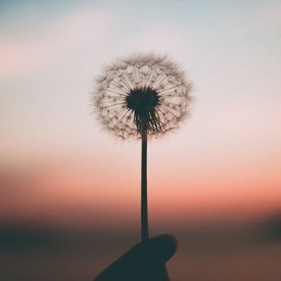 ibnmasr_star's profile picture. ابن مصر اللي بيساعد صوتك يوصل للنجوم! 🌟 محتاج منشن أو دعم؟ أنا موجود! #فريق_مصر 🇪🇬