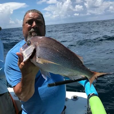 doutimiareye1's profile picture. I'm an influencer