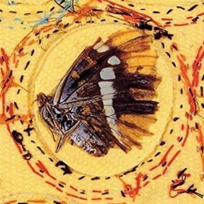 MiiDeDe1's profile picture. 