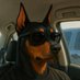 Benji (@benji_frijoles) Twitter profile photo Benji (@benji_frijoles) Twitter profile photo