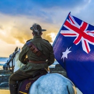 Christo🇦🇺⚔️✝️🌸 Profile