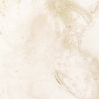 akarinrinvvv's profile picture. 