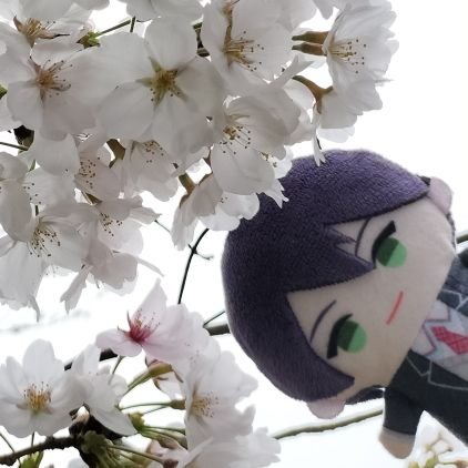 L1じゅさんのプロフィール画像