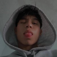 𝕳𝖔𝖚𝖓𝖉 (@ndbden_) 's Twitter Profile