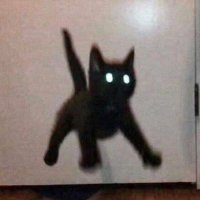 ooowwill1009 (@usevenhar) 's Twitter Profile
