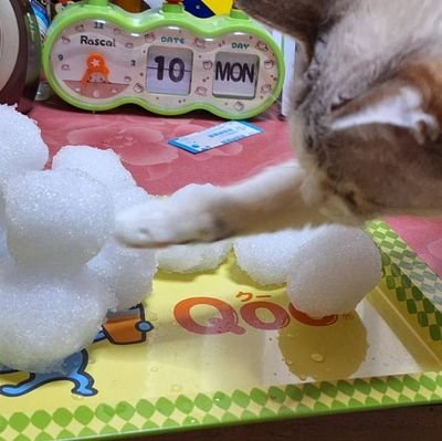 u_iori1412's profile picture. 声優志望の夢追い人
好きなことは労働と浪費
本格的に活動するまでただの感想やらのためのアカウント