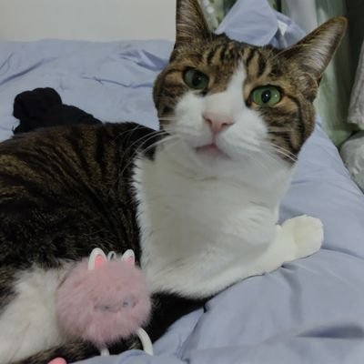 NEKO_GAMI777's profile picture. 人生楽しんだもの勝ち！
DBDやモンハンもやってます🎮
ゲーム実況や、エガちゃんねるも好きでよく見るあたおかです☺️
（気まぐれなので、たま〜に呟きます。）