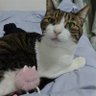NEKO_GAMI777's profile picture. 人生楽しんだもの勝ち！
DBDやモンハンもやってます🎮
ゲーム実況や、エガちゃんねるも好きでよく見るあたおかです☺️
（気まぐれなので、たま〜に呟きます。）