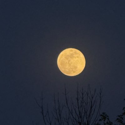 Beccaria99_'s profile picture. 