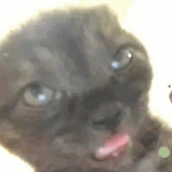 Hid3InLantern's profile picture. 17yo jg lft
https://t.co/iG5zzbPrpA