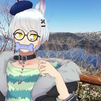 SunnyE./サニー@貯金残高60円の男 (@sa9029nameless) 's Twitter Profile
