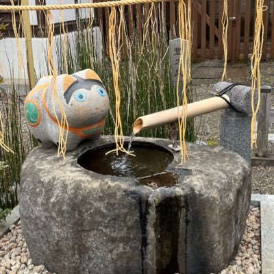 UzU3ZMdHyt26482's profile picture. 