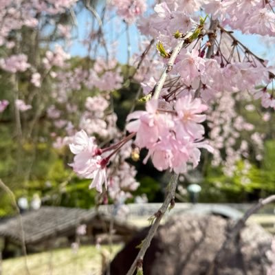 雑多。20↑。WJ本誌/稲妻/型月/WT/ホラー/読書/占いが好き。夢/腐/ネタバレ/遡り・無言ふぁぼりつ/空リプ/突然の実況あり〼。
