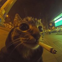 WaBQm☔ (@mancha_de_reloj) 's Twitter Profile