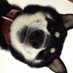 çš²è·ã®ã°ããºå¢ (@inari_goods) Twitter profile photo çš²è·ã®ã°ããºå¢ (@inari_goods) Twitter profile photo