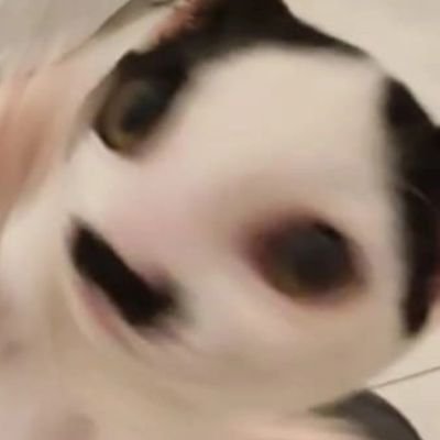 e vai tomar no cu todo mundo igual     ⟭⟬