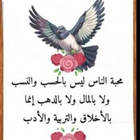 ابو مشتاق المشتاق الردفاني (@abwmshtaq72727) Twitter profile photo