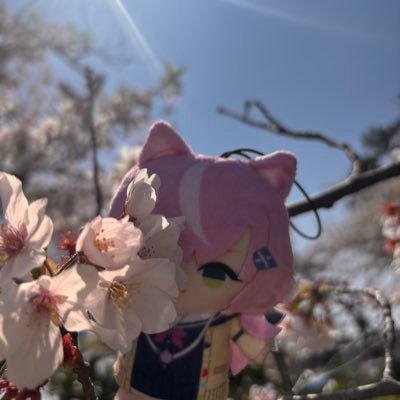 おるじょさんのプロフィール画像