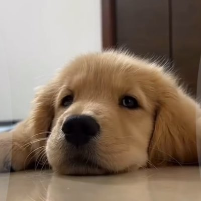Nanunnanin's profile picture. 