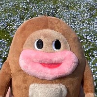 DBD (@rt1921) 's Twitter Profile