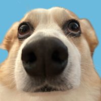 {おしりぷりぷりモンスター} (@unpappa_den64) 's Twitter Profile Photo {おしりぷりぷりモンスター} (@unpappa_den64) 's Twitter Profile Photo