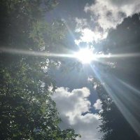 ☝️ (@sunrisesagain__) 's Twitter Profile