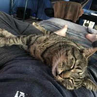 Siradj (@siradj2008) 's Twitter Profile