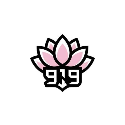 NineNineteen919's profile picture. For players, by players! #NineNineteenFTW