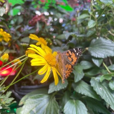 jenn7314's profile picture. Kindergarten teacher at Clark Elementary, mother of three, wife, lifelong learner