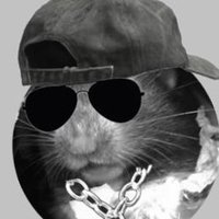 애기갱스터 (@pwngix) 's Twitter Profile Photo