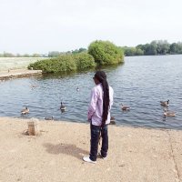 LionDRED (@simba_liondred) 's Twitter Profile