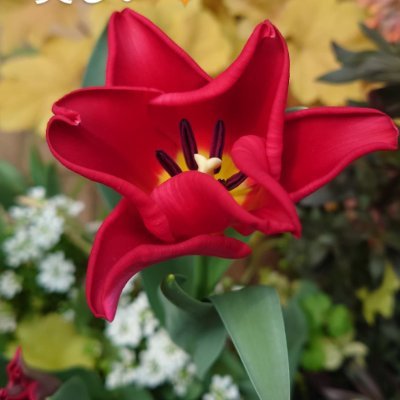 FujiijuF040968's profile picture. 