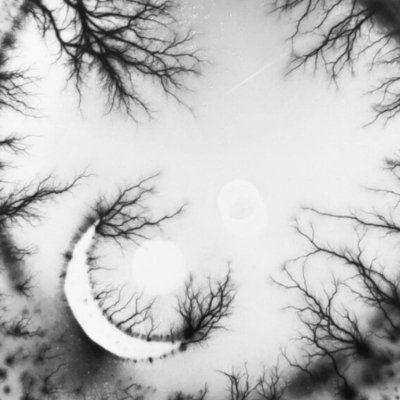 voltinholt's profile picture. Paulina Nadia & Dominik. Art duo from Poland using the author's technique of painting with electricity on photosensitive surfaces ⚡