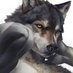 Ulvin (@ulvin_art) Twitter profile photo Ulvin (@ulvin_art) Twitter profile photo