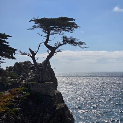 skdeo7's profile picture. all opinions are my own.