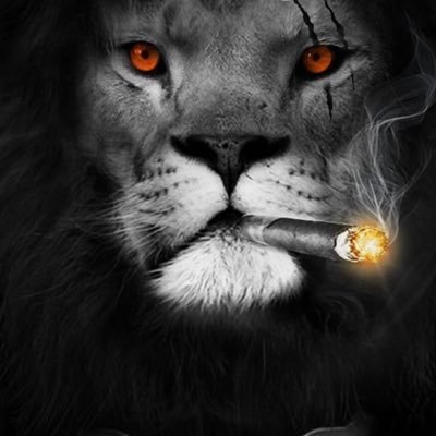 Adabachy's profile picture. 