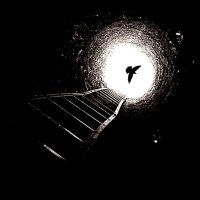 Aydın SEVGİ..🇹🇷 (@aydnsvg_turkey) 's Twitter Profile Photo