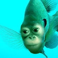 shrimp (@m0ssjuice) 's Twitter Profile