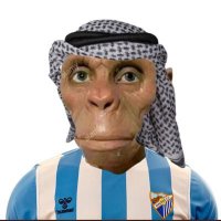 Moro (@morodelsur2) 's Twitter Profile