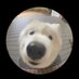 TinTin (@cheaptintin) Twitter profile photo TinTin (@cheaptintin) Twitter profile photo