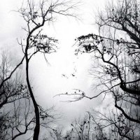 НатальяЛ (@im_nothere) 's Twitter Profile