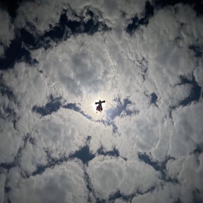 benjybblue's profile picture. 🌴🍸