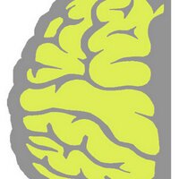 ceeds project (@ceedsproject) 's Twitter Profile