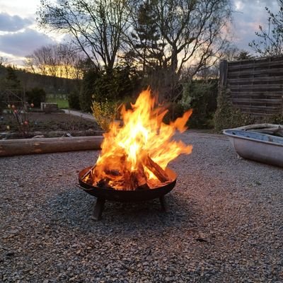 Swimbuchse's profile picture. 