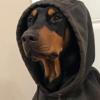 Crypto二狗 (@btcergou) 's Twitter Profile Photo Crypto二狗 (@btcergou) 's Twitter Profile Photo