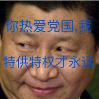 特权特供要安全 (@polarisumstar) 's Twitter Profile