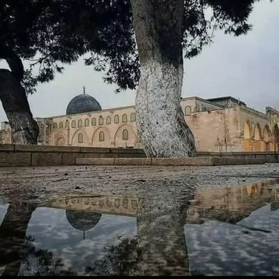 zahraa123q's profile picture. • مَن استطَــالَ الطَّريقَ ضَعُفَ مَشيُه• ||•ابن القيِّم