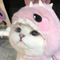 ゆゆ (@oioiooi__) 's Twitter Profile Photo ゆゆ (@oioiooi__) 's Twitter Profile Photo