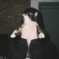 kaylee (@dietcokevevo) 's Twitter Profile Photo