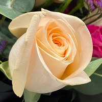 Magidaa (@magida21211) Twitter profile photo